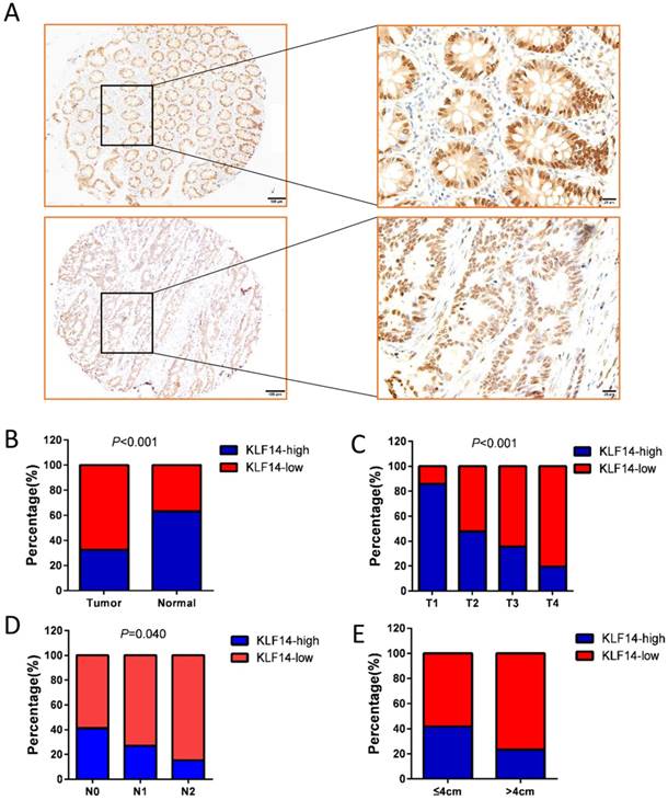 Int J Biol Sci Image