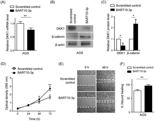 Int J Biol Sci Image