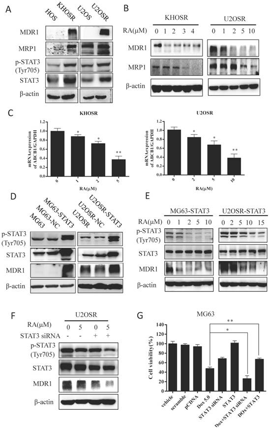 Int J Biol Sci Image