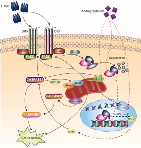 Int J Biol Sci Image