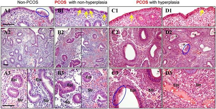 Int J Biol Sci Image