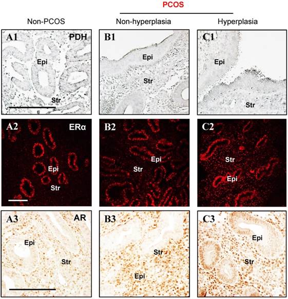 Int J Biol Sci Image