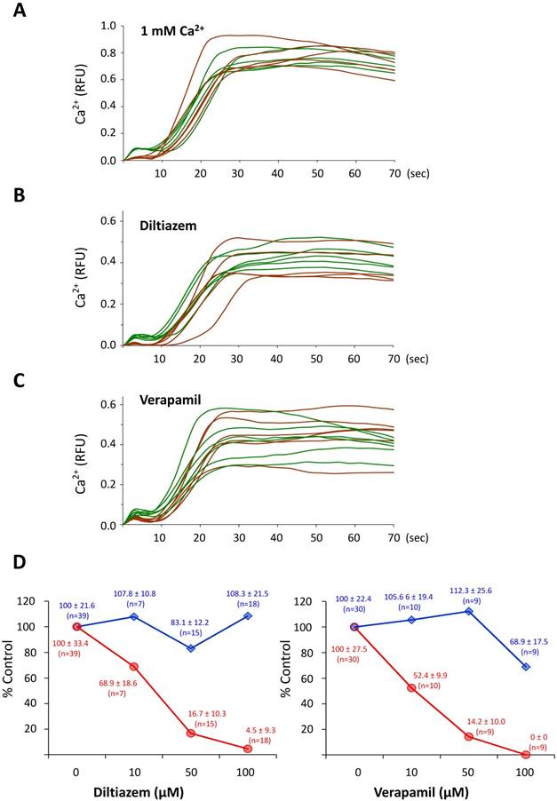 Int J Biol Sci Image