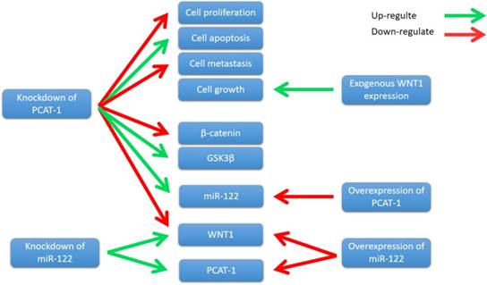 Int J Biol Sci Image