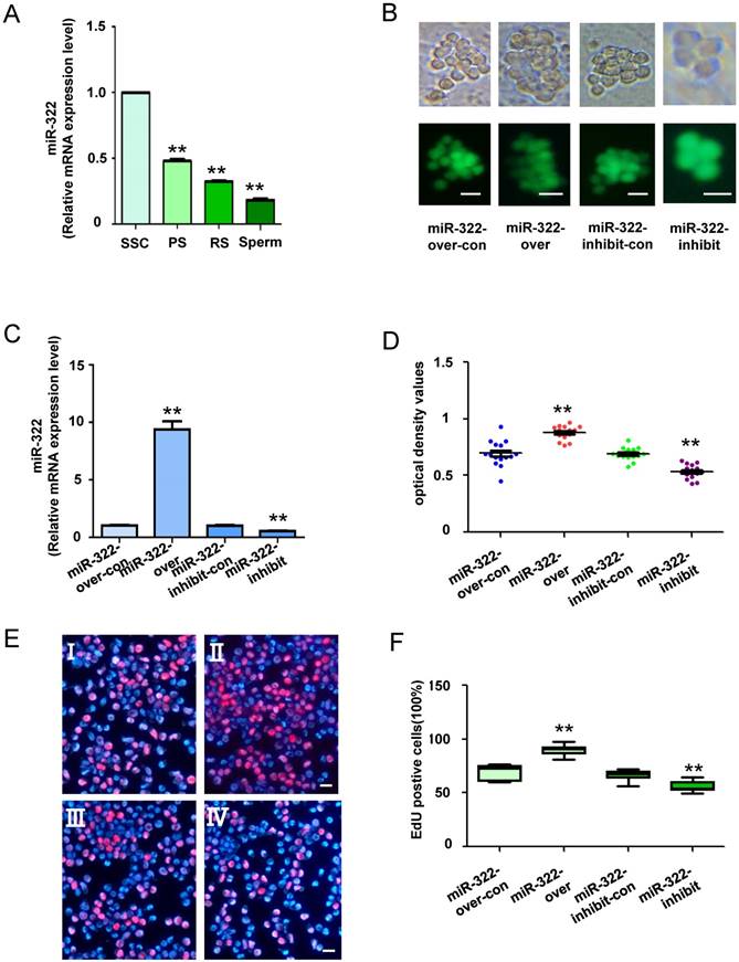 Int J Biol Sci Image