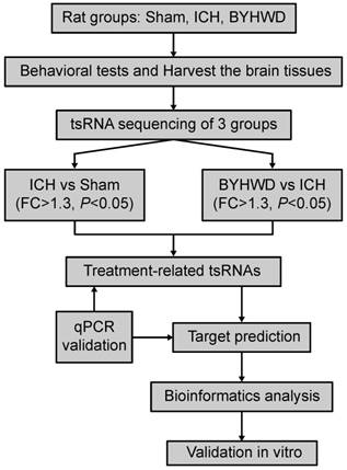 Int J Biol Sci Image