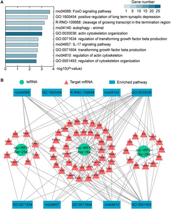 Int J Biol Sci Image