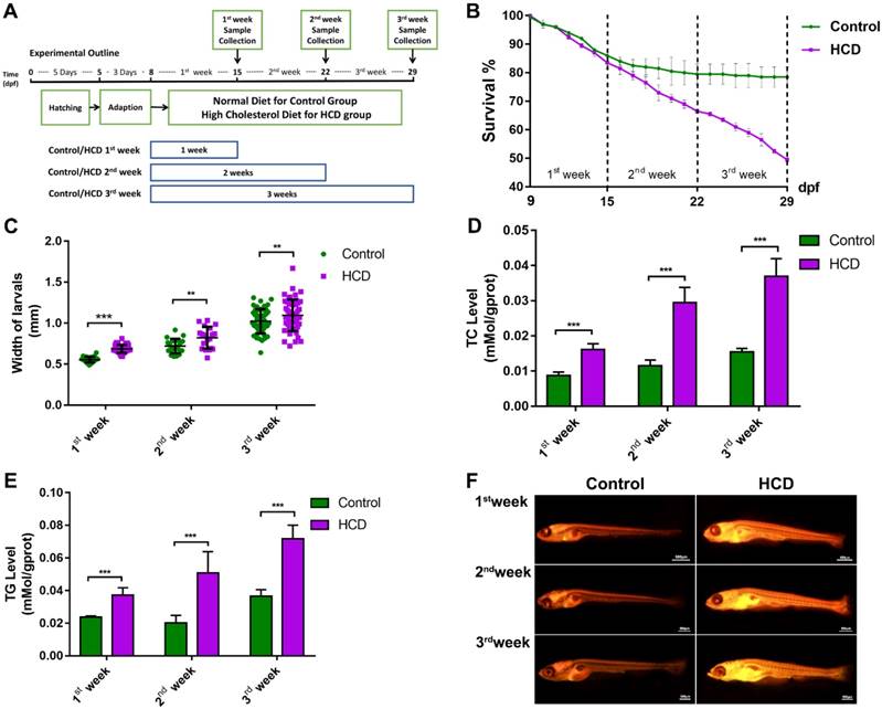 Int J Biol Sci Image