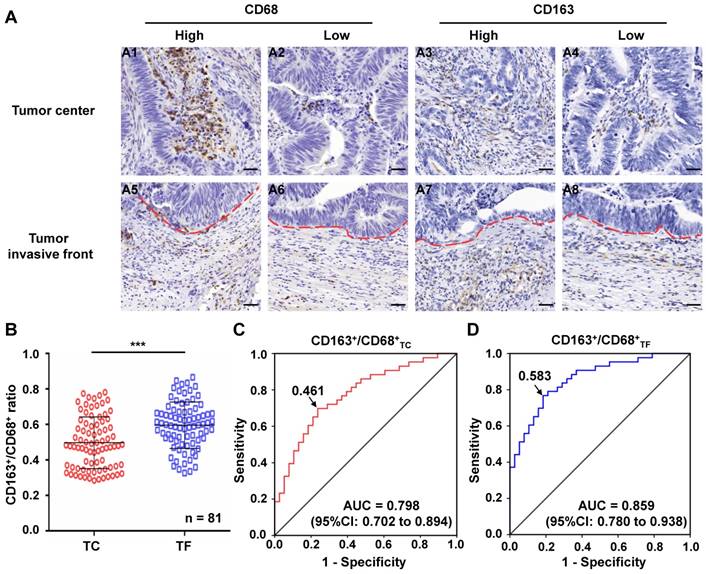 Int J Biol Sci Image