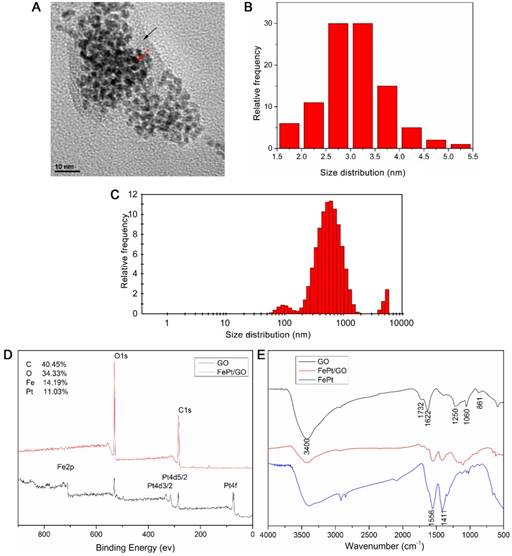 Int J Biol Sci Image