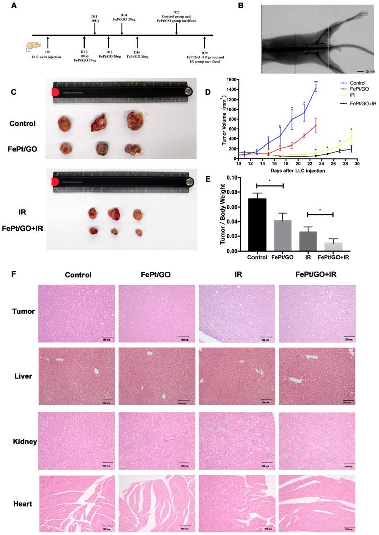 Int J Biol Sci Image