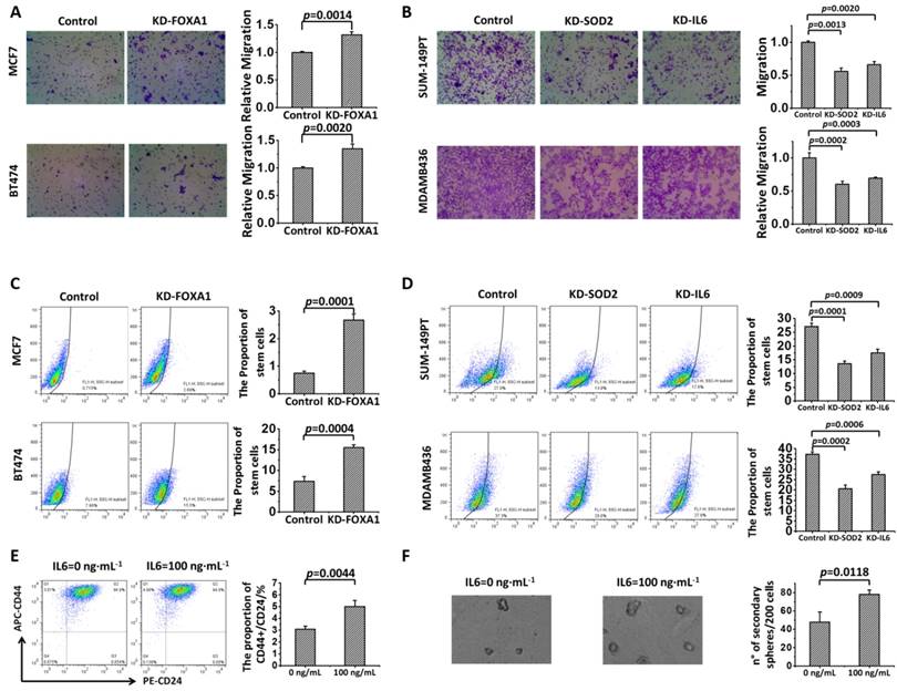 Int J Biol Sci Image