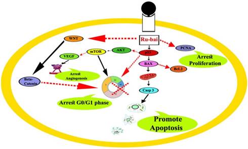 Int J Biol Sci Image