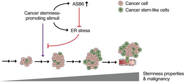 Int J Biol Sci Image