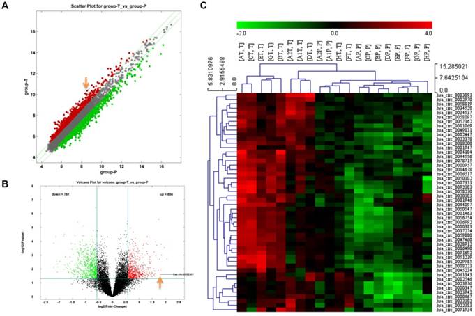 Int J Biol Sci Image