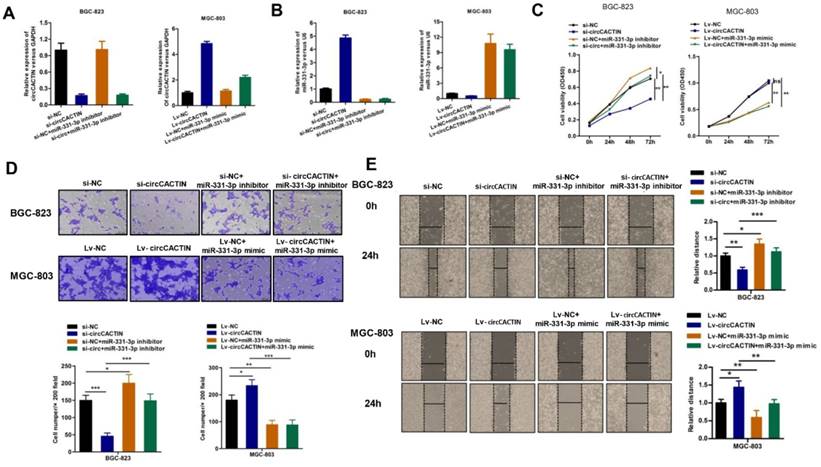 Int J Biol Sci Image