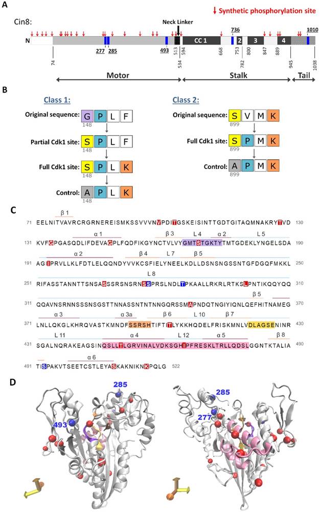 Int J Biol Sci Image