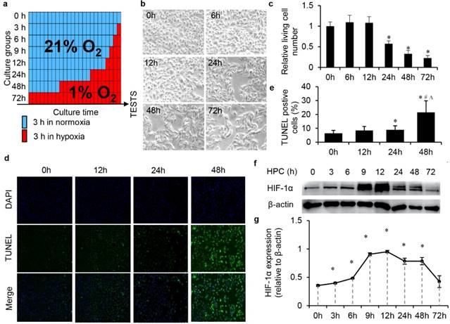 Int J Biol Sci Image