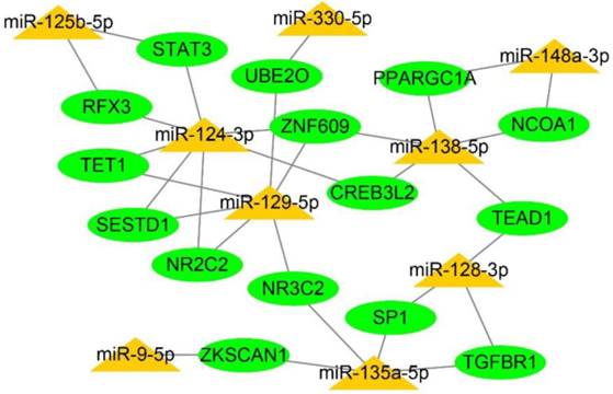 Int J Biol Sci Image