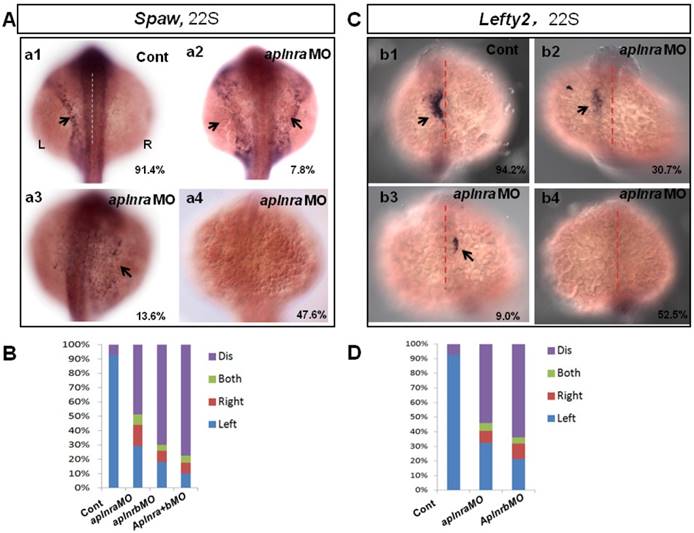 Int J Biol Sci Image