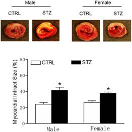 Int J Biol Sci Image