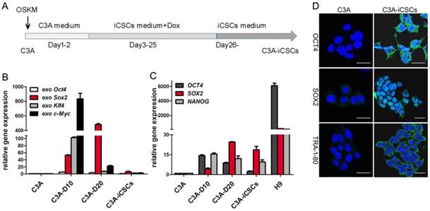 Int J Biol Sci Image