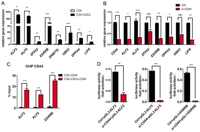 Int J Biol Sci Image