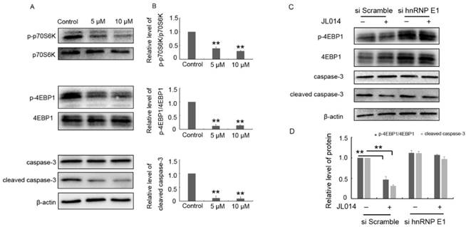 Int J Biol Sci Image