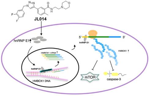 Int J Biol Sci Image