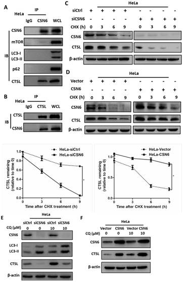 Int J Biol Sci Image