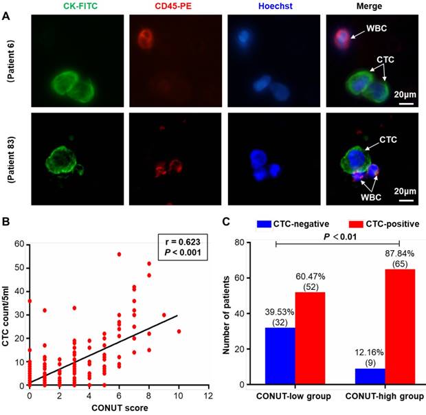 Int J Biol Sci Image