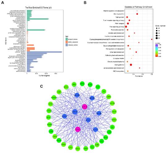 Int J Biol Sci Image