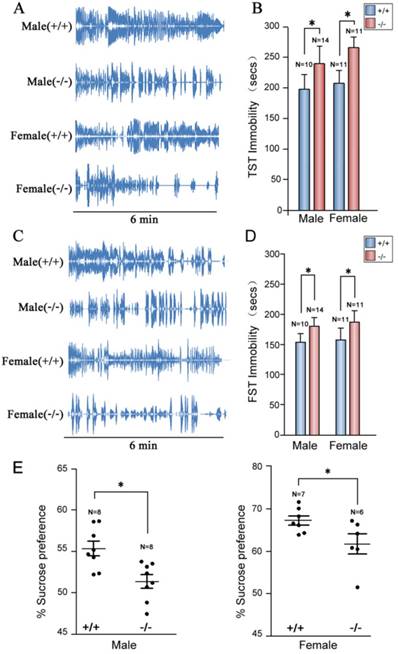 Int J Biol Sci Image