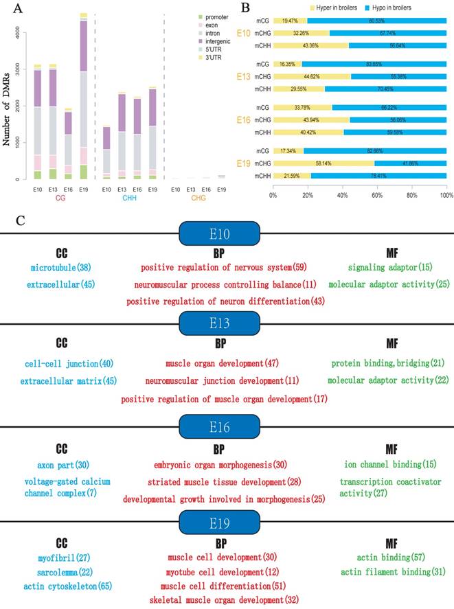 Int J Biol Sci Image