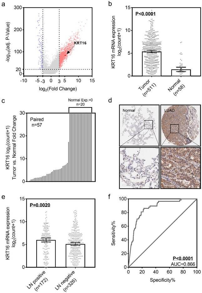 Int J Biol Sci Image