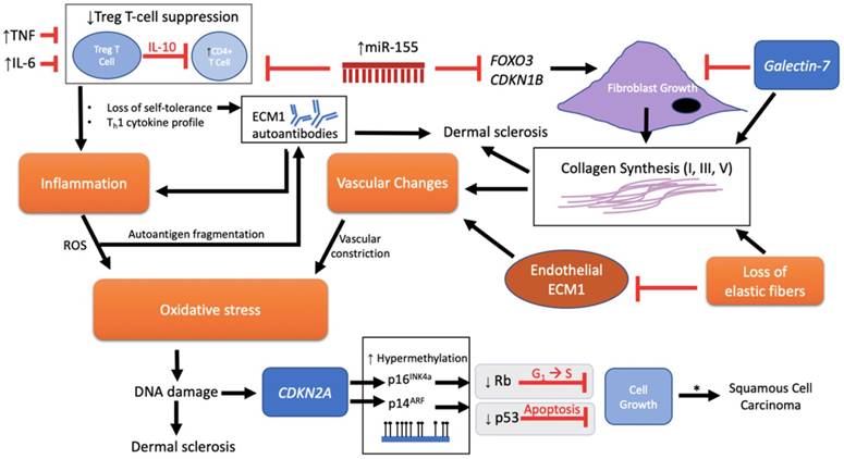 Int J Biol Sci Image