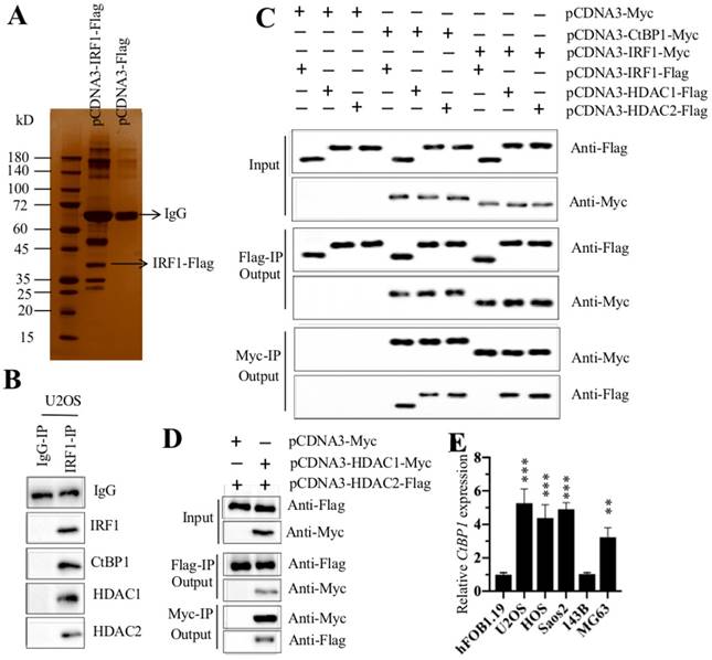 Int J Biol Sci Image