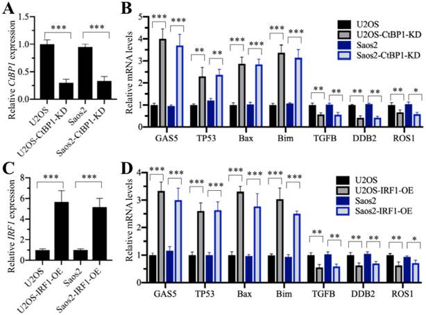 Int J Biol Sci Image