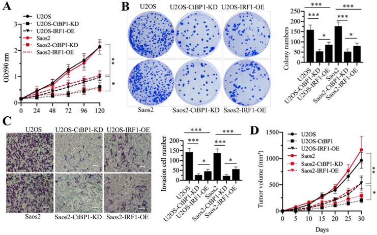 Int J Biol Sci Image