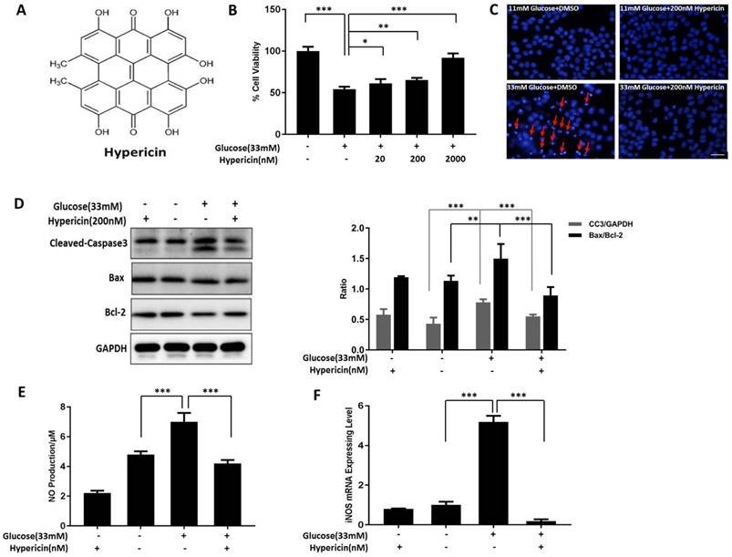 Int J Biol Sci Image