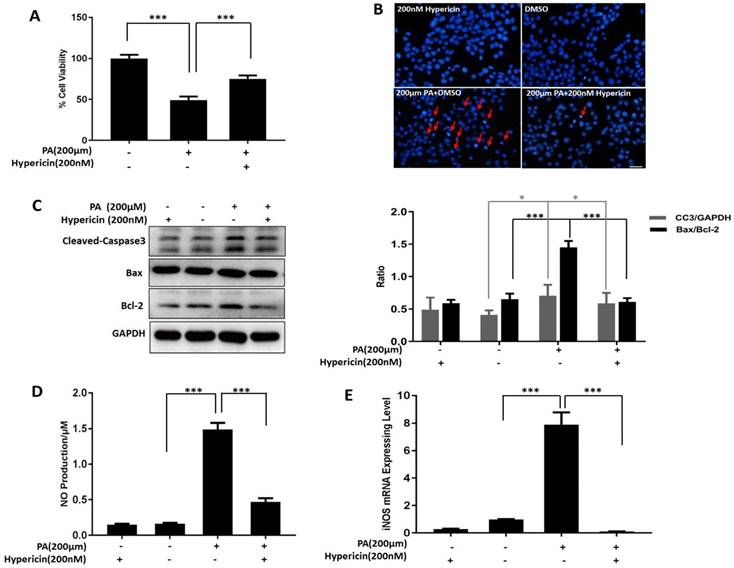 Int J Biol Sci Image