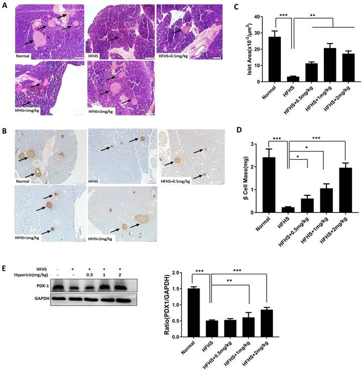 Int J Biol Sci Image