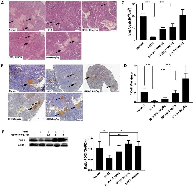 Int J Biol Sci Image