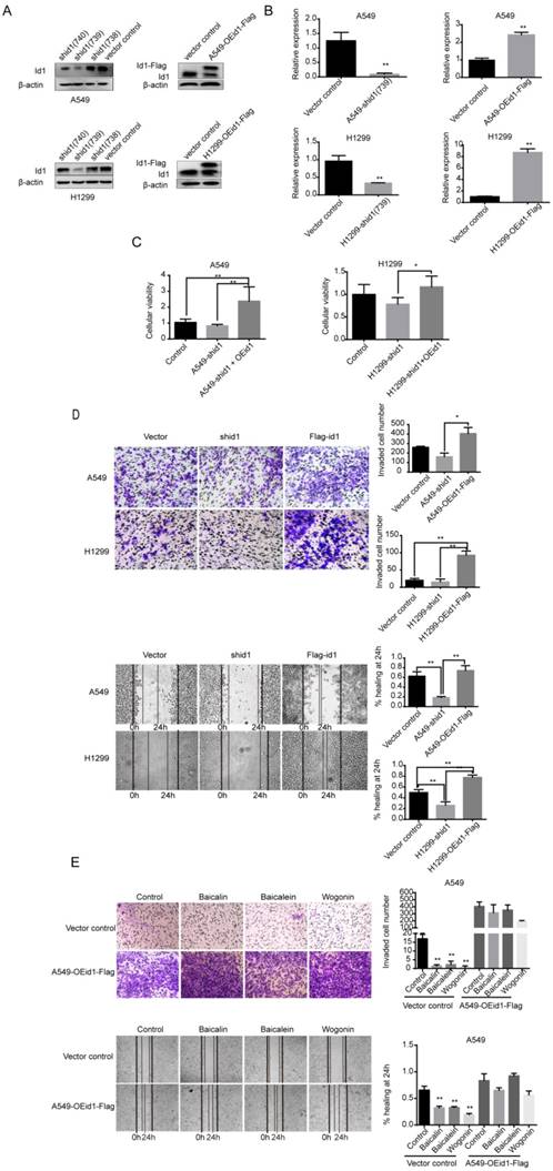 Int J Biol Sci Image