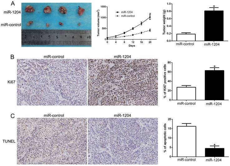 Int J Biol Sci Image