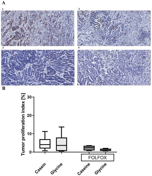 Int J Biol Sci Image