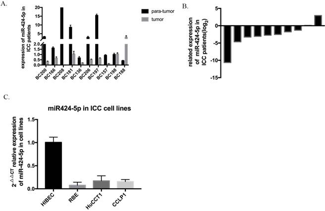 Int J Biol Sci Image