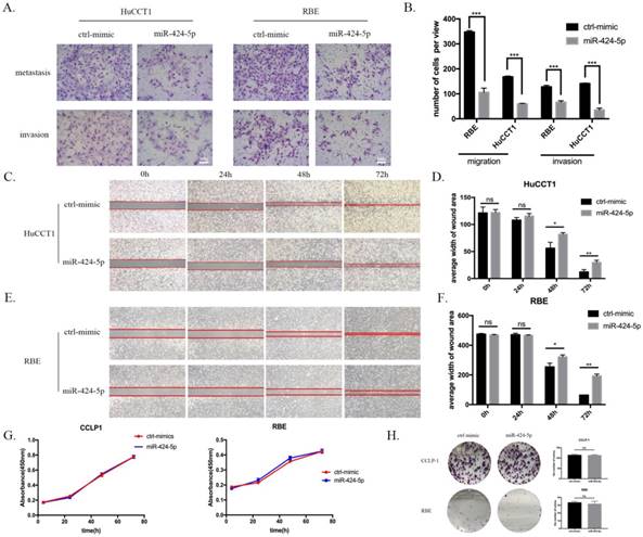 Int J Biol Sci Image