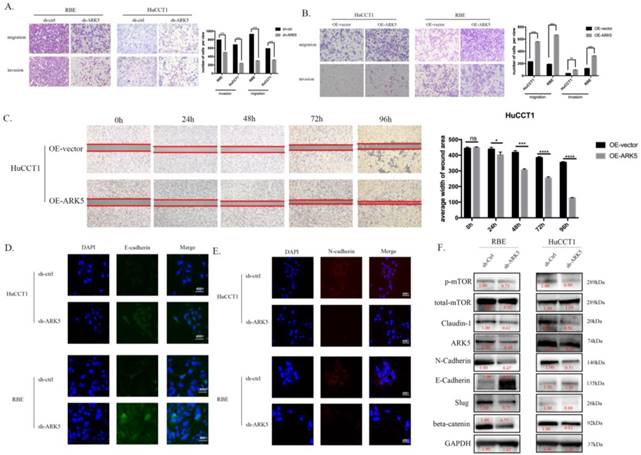 Int J Biol Sci Image