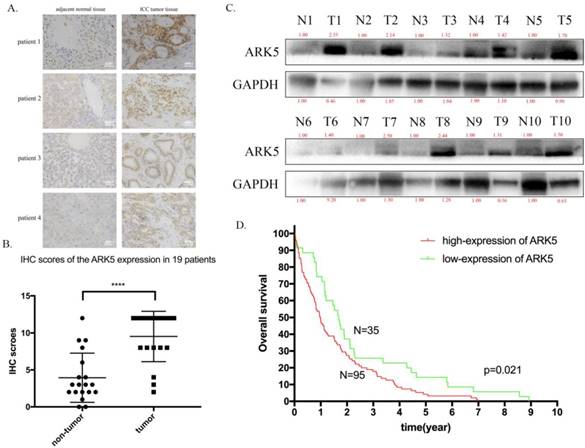 Int J Biol Sci Image